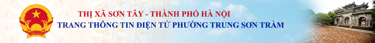 Trang Thông Tin Điện Tử Phường Trung Sơn Trầm